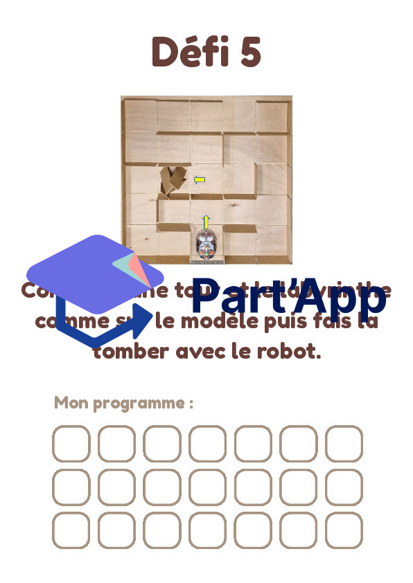 Cahier des défis - Bluebot_9