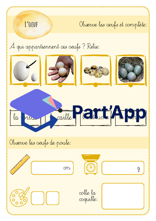 3H-4H: Sciences - La poule et les poussins_6