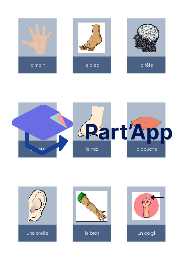 cartes - les parties du corps_2