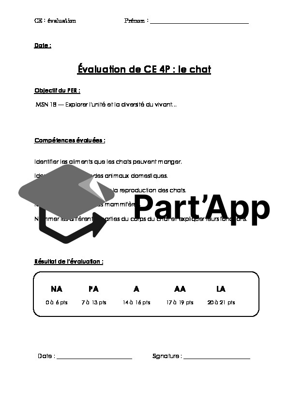 Évaluation formative le chat_2