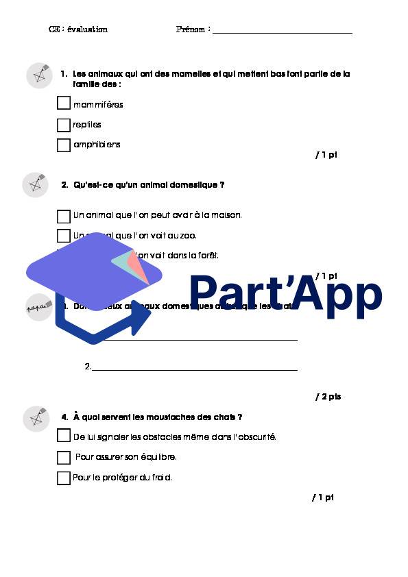 Évaluation formative le chat_3