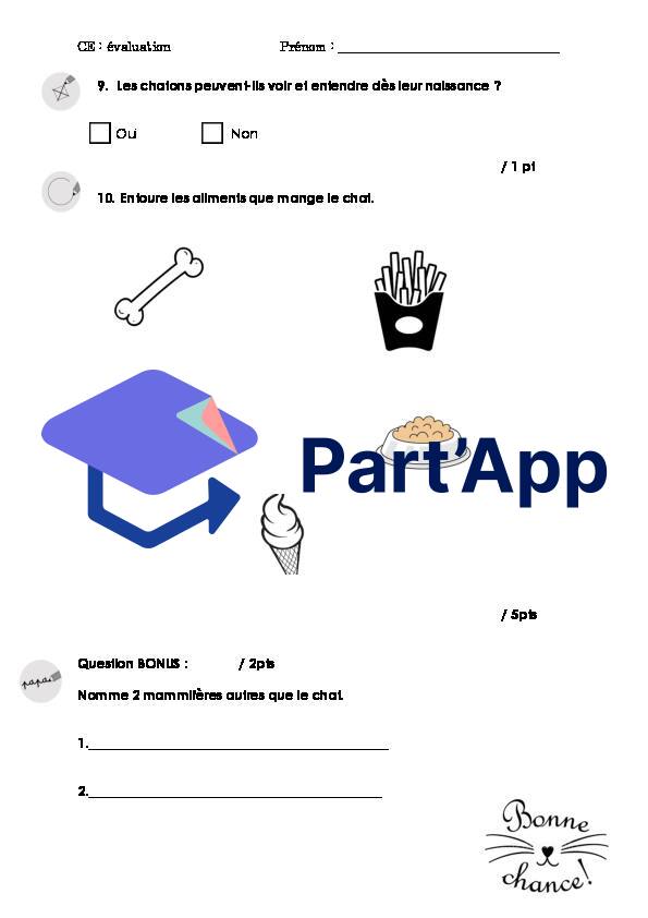 Évaluation formative le chat_5