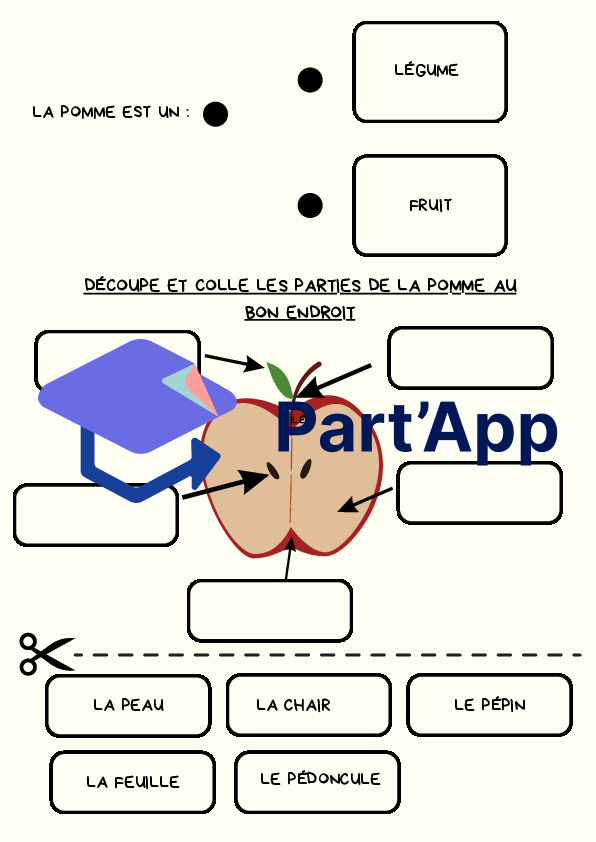 Dossier sur la pomme_6