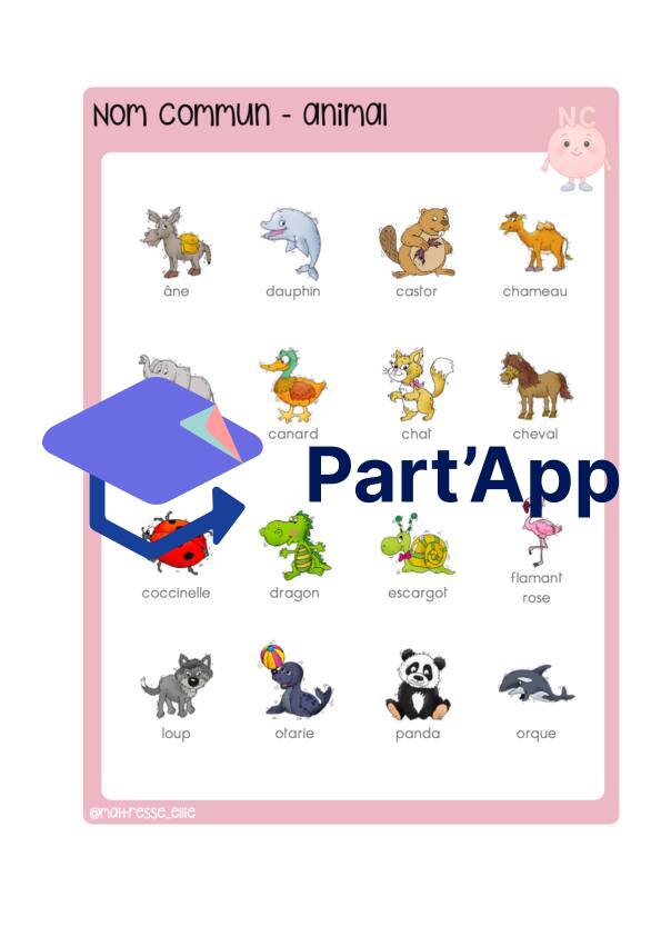 Classes grammaticales_4