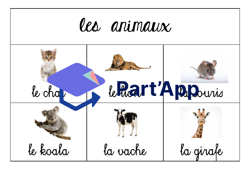 Champ lexical_4