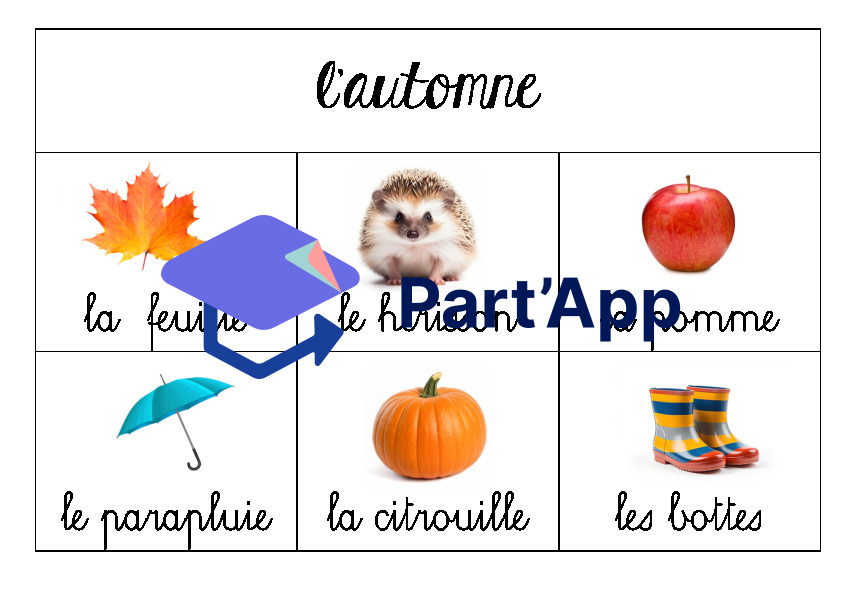 Champ lexical_5