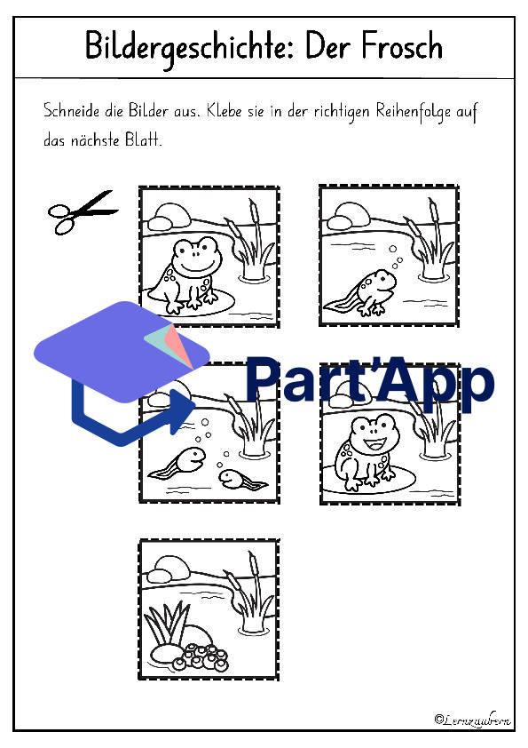 Bildergeschichte: Der Frosch (Lebenszyklus)_10