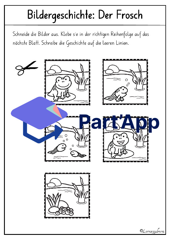 Bildergeschichte: Der Frosch (Lebenszyklus)_13