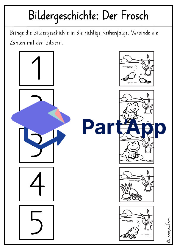Bildergeschichte: Der Frosch (Lebenszyklus)_16