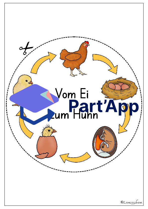Lapbook Huhn für den Kindergarten_45