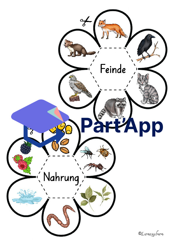 Lapbook Huhn für den Kindergarten_47