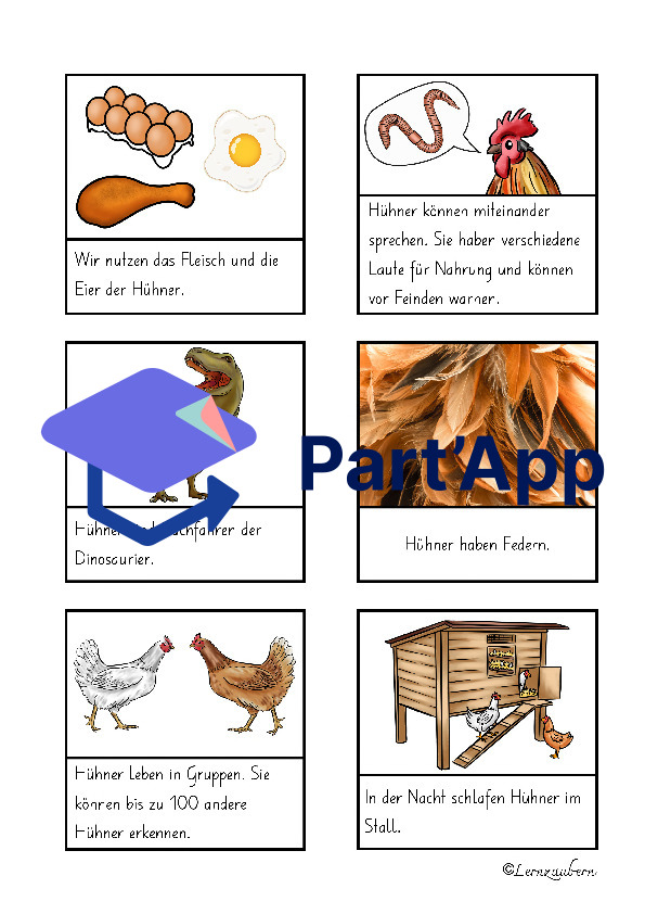 Lapbook Huhn für den Kindergarten_48