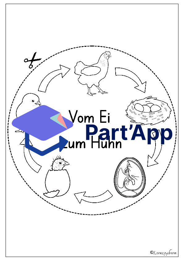 Lapbook Huhn für den Kindergarten_50