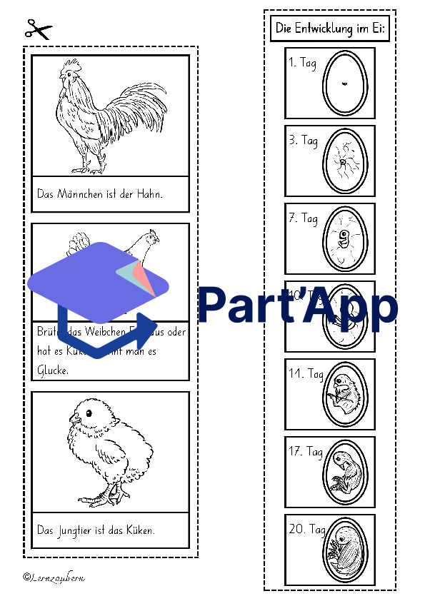 Lapbook Huhn für den Kindergarten_51