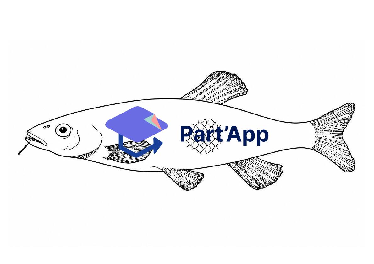 L'anatomie du poisson_6
