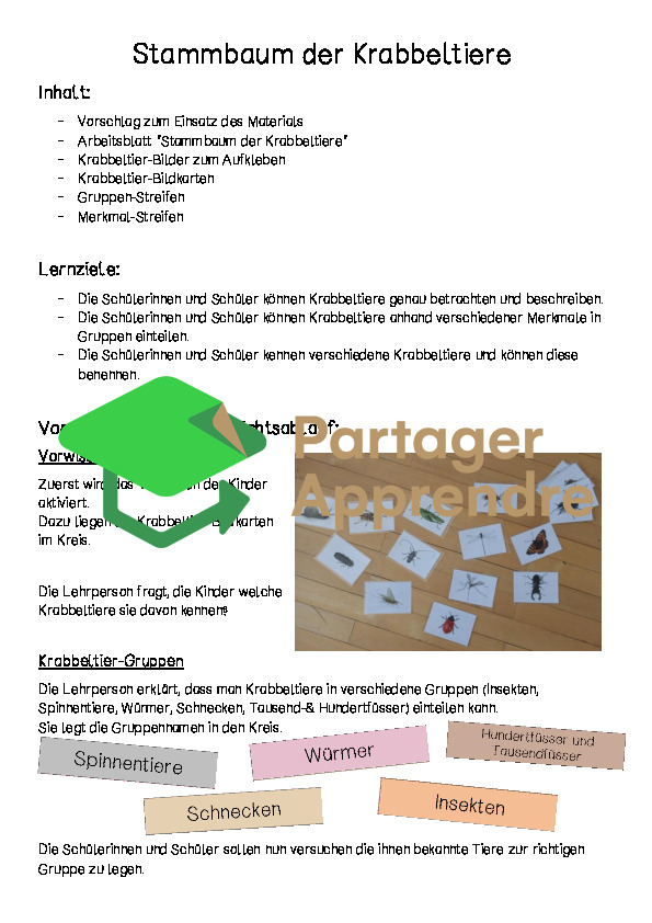 Stammbaum der Krabbeltiere (Spinnen, Insekten, Schnecken, Würmer, ...)_2