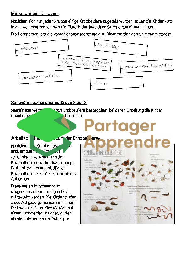 Stammbaum der Krabbeltiere (Spinnen, Insekten, Schnecken, Würmer, ...)_3