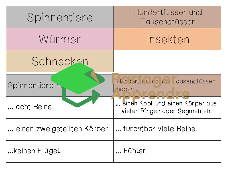 Stammbaum der Krabbeltiere (Spinnen, Insekten, Schnecken, Würmer, ...)_6