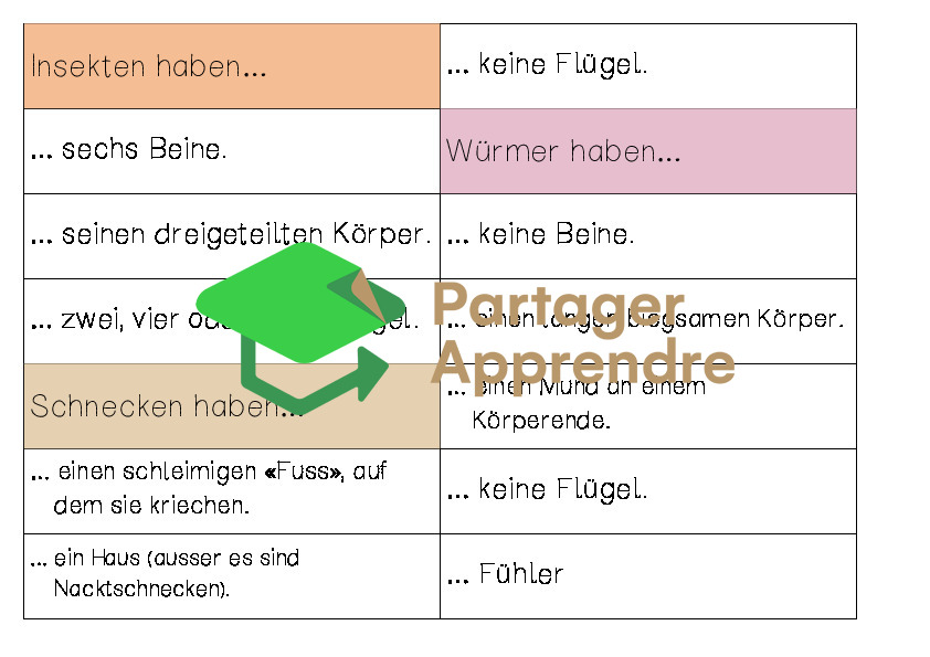 Stammbaum der Krabbeltiere (Spinnen, Insekten, Schnecken, Würmer, ...)_7