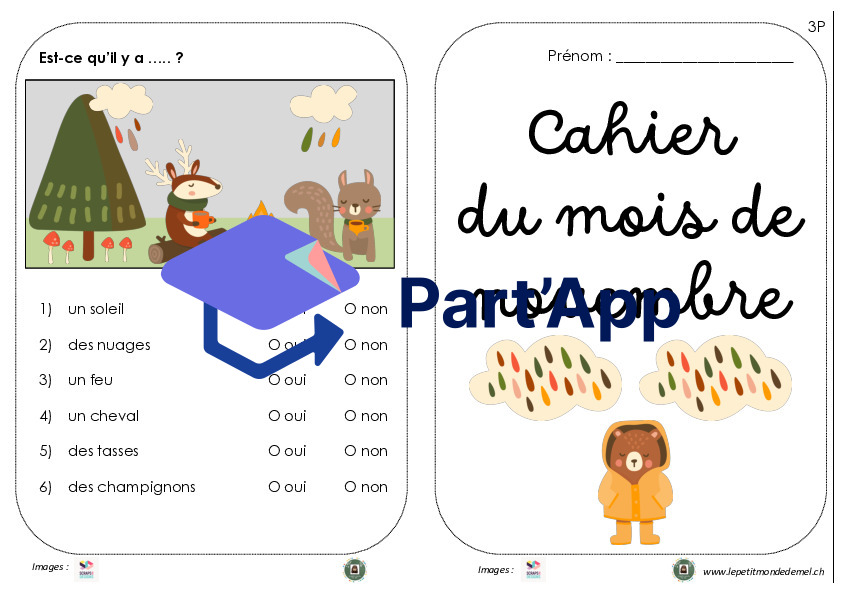 cahier d'activités novembre_20