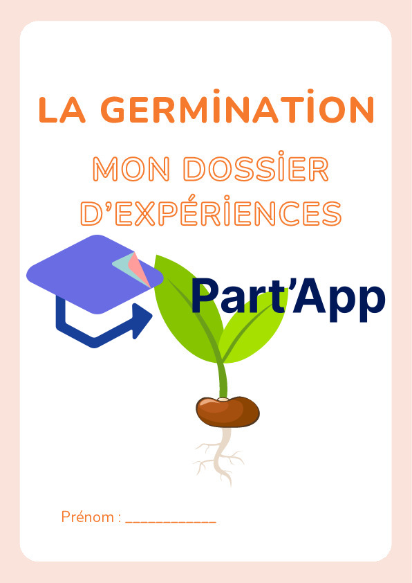 La germination - mon haricot_4