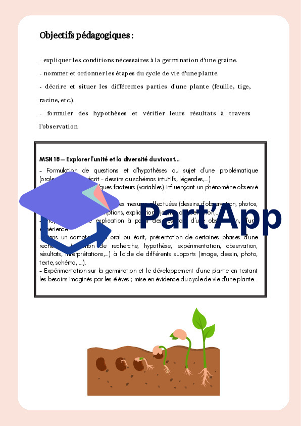 La germination - mon haricot_5