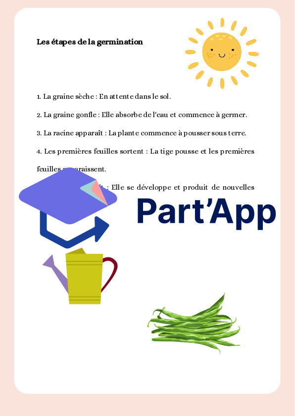 La germination - mon haricot_6