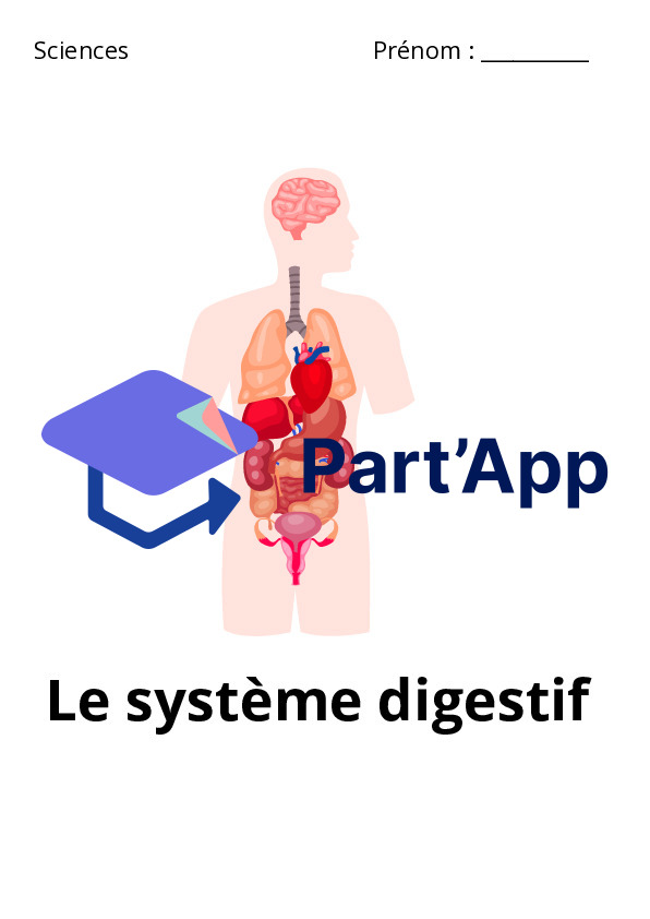 Le système digestif_2