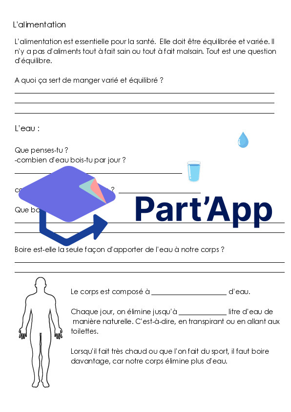 Le système digestif_11