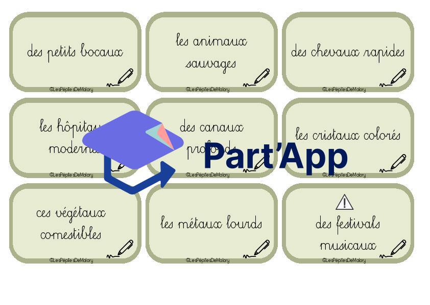 6H Module 1 - Orthographe - Accords GN al-aux_5