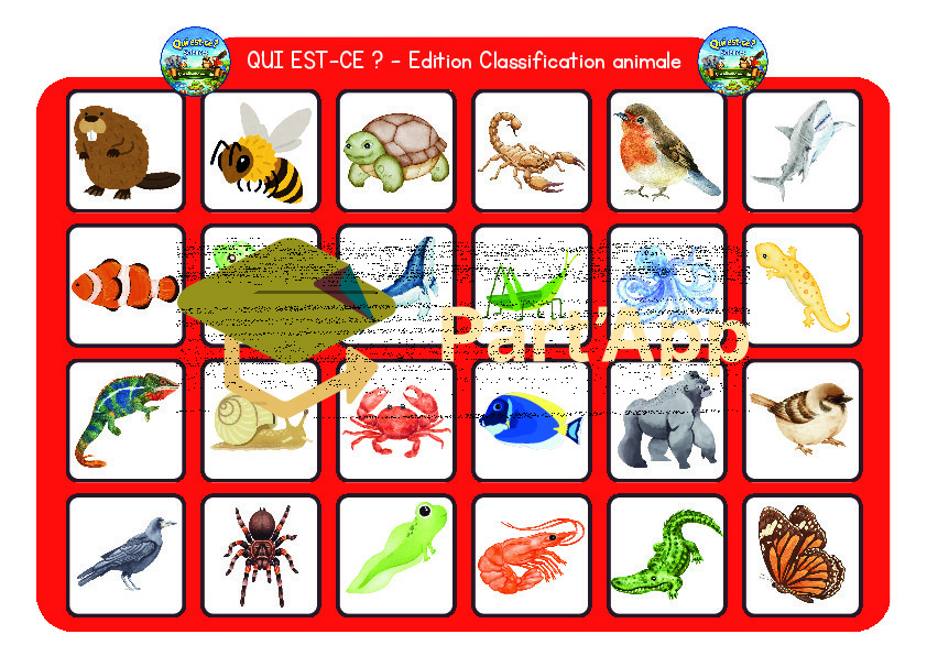 5-8P : Classification animale - Qui est-ce ?_3