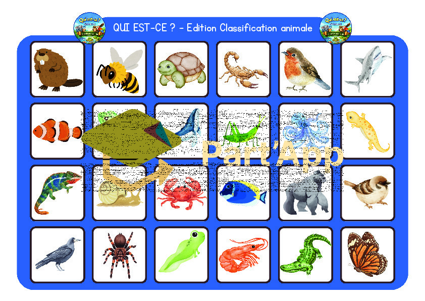 5-8P : Classification animale - Qui est-ce ?_4