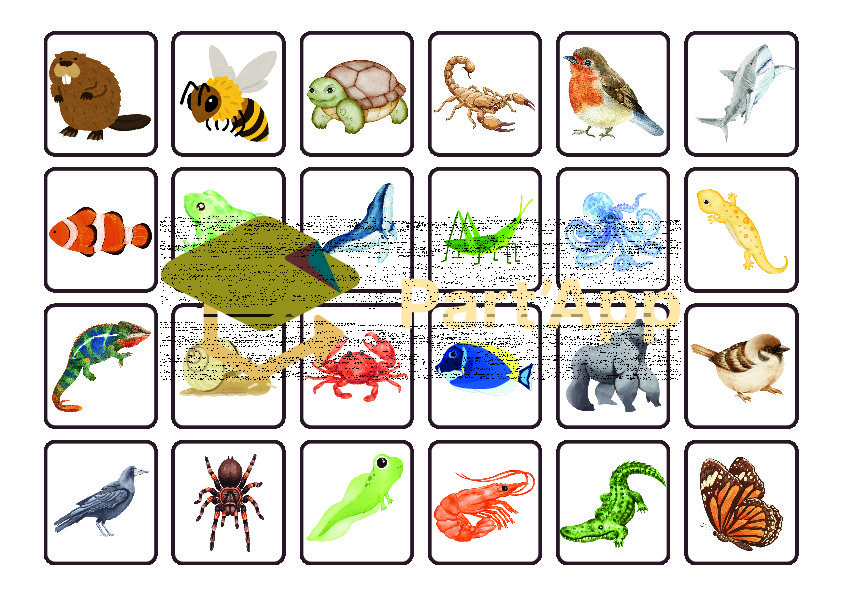 5-8P : Classification animale - Qui est-ce ?_5
