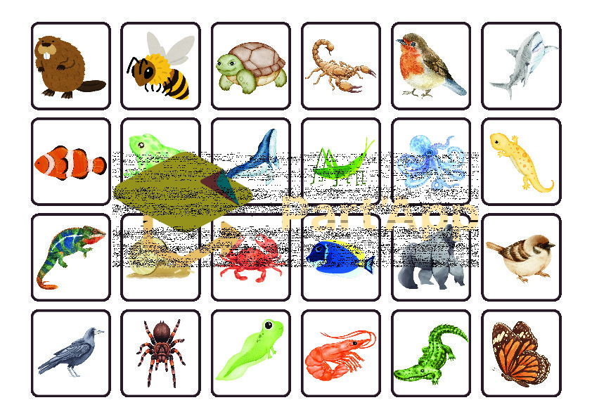 5-8P : Classification animale - Qui est-ce ?_7