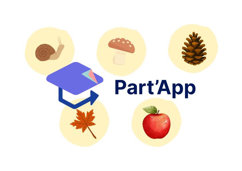 le panier du hérisson_3