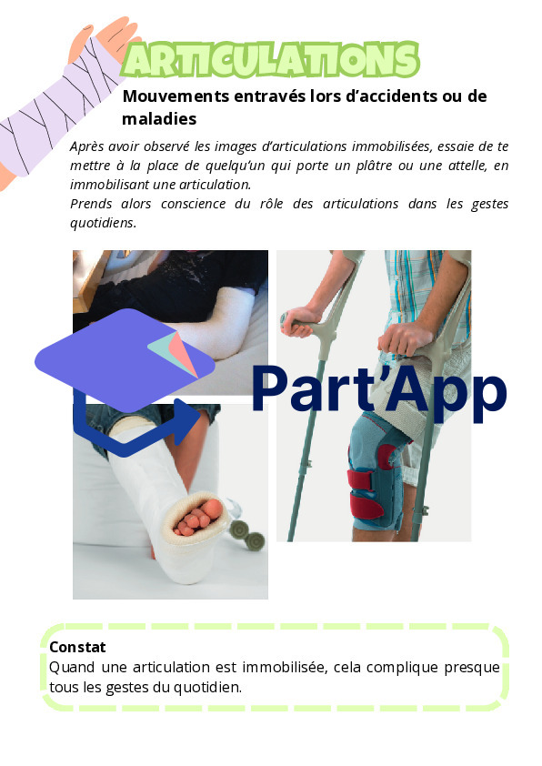 Dossier Sciences de la Nature | Le Corps Humain_11