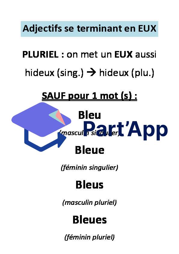 Français 7H-8H - Les noms se terminant en OU-AIL-AU-EAU-AL (affiches)_29
