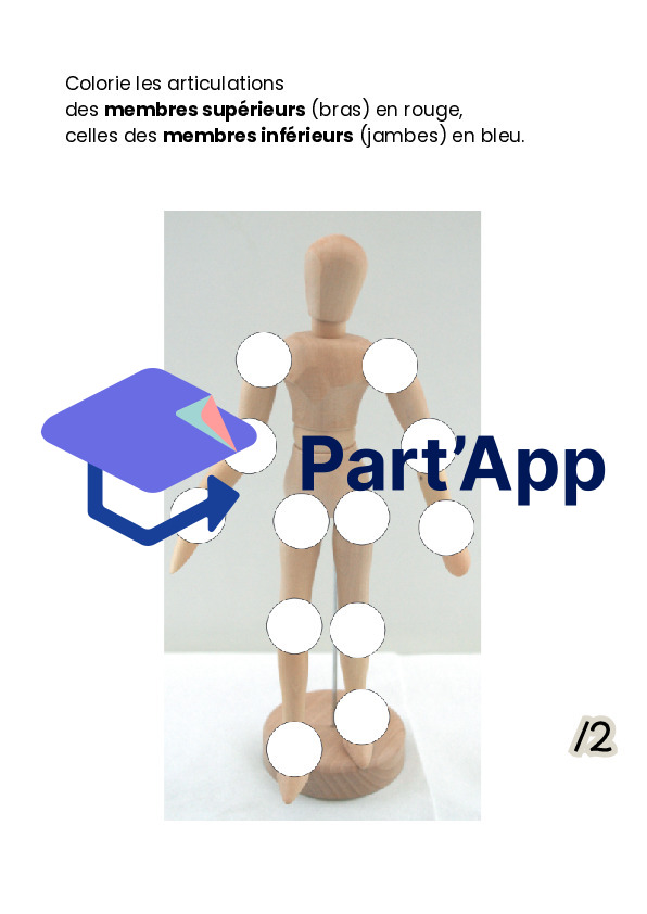 évaluation - Les articulations 3H_5