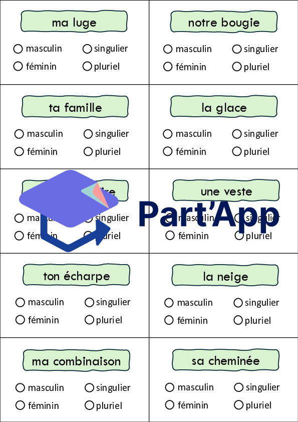 Atelier - Genre et nombre du nom_3