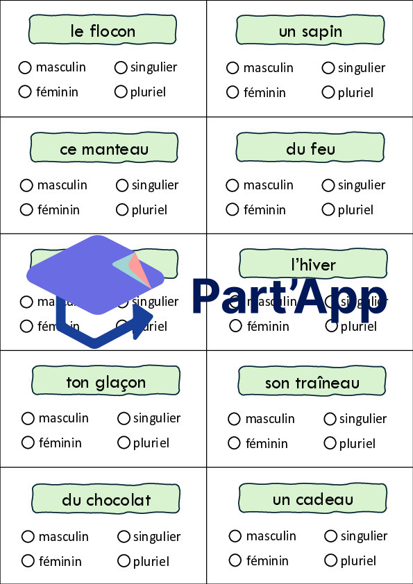 Atelier - Genre et nombre du nom_4