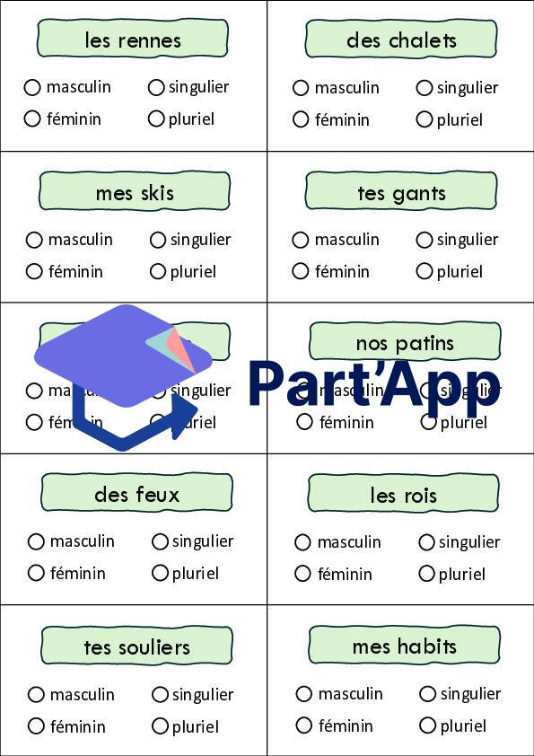 Atelier - Genre et nombre du nom_5