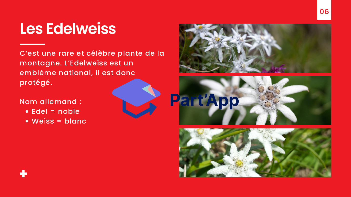 Tour du Monde - La Suisse_15