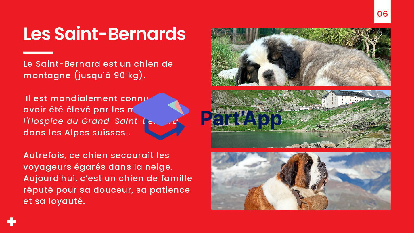 Tour du Monde - La Suisse_16