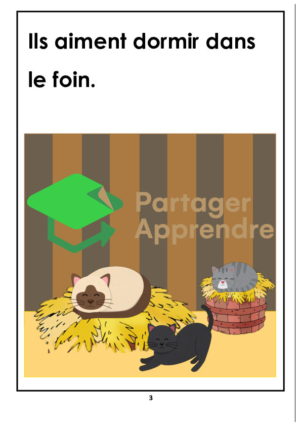 Rallye lecture 4P, livre 8 : les chats_95
