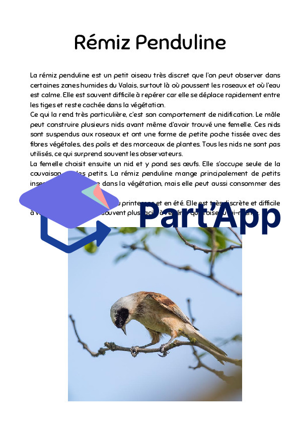 Informations sur les oiseaux Parcours_2