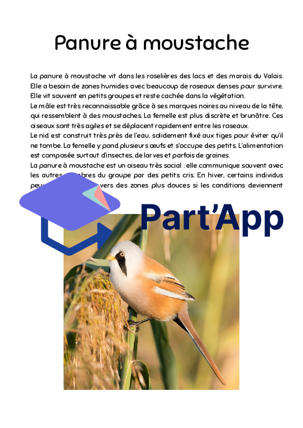 Informations sur les oiseaux Parcours_3