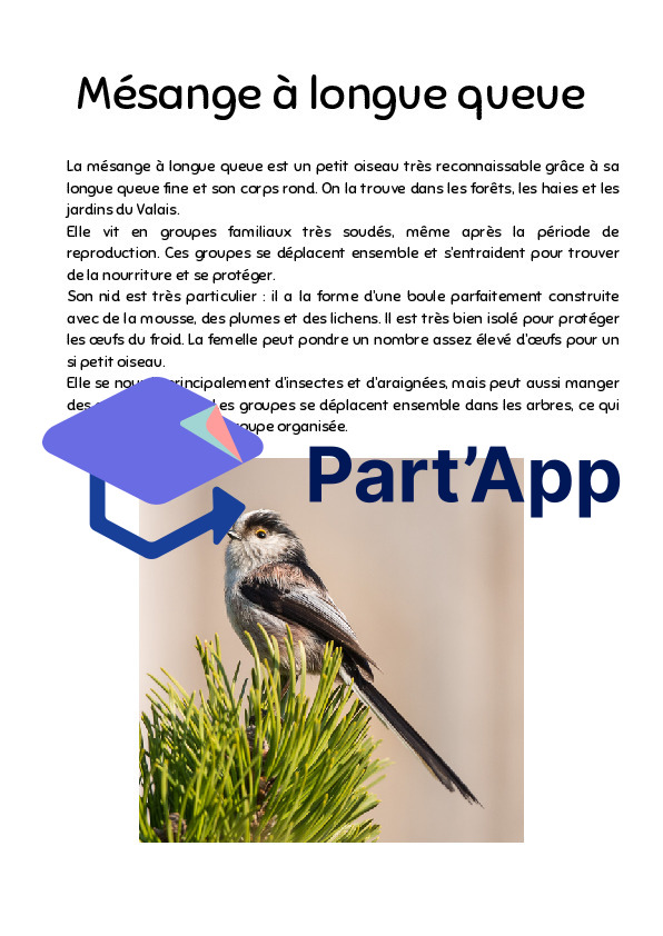 Informations sur les oiseaux Parcours_4