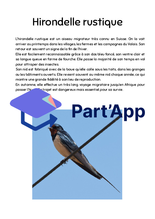 Informations sur les oiseaux Parcours_5