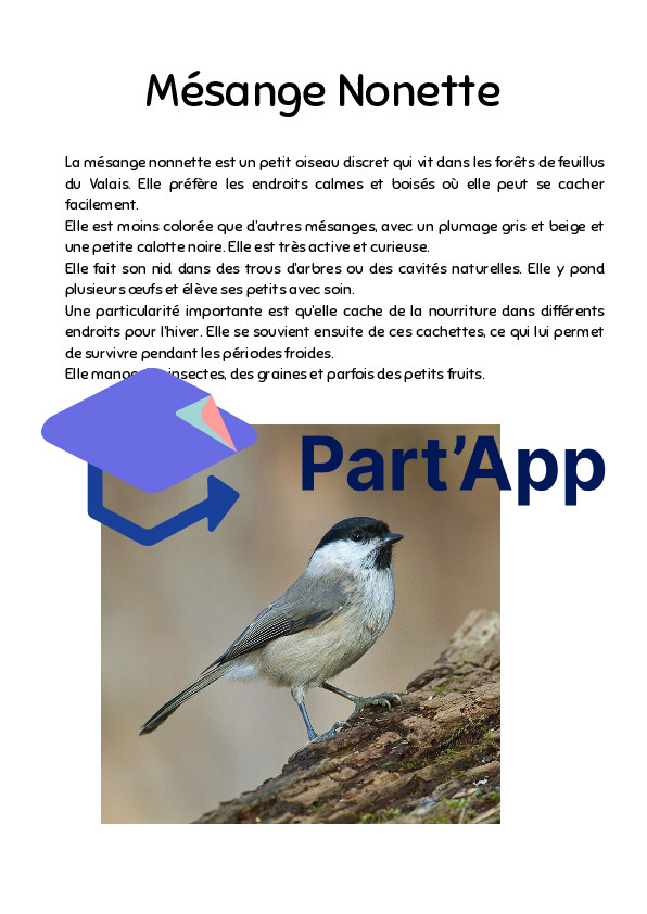 Informations sur les oiseaux Parcours_6