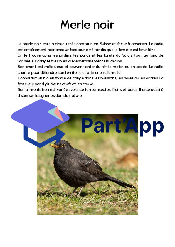 Informations sur les oiseaux Parcours_7
